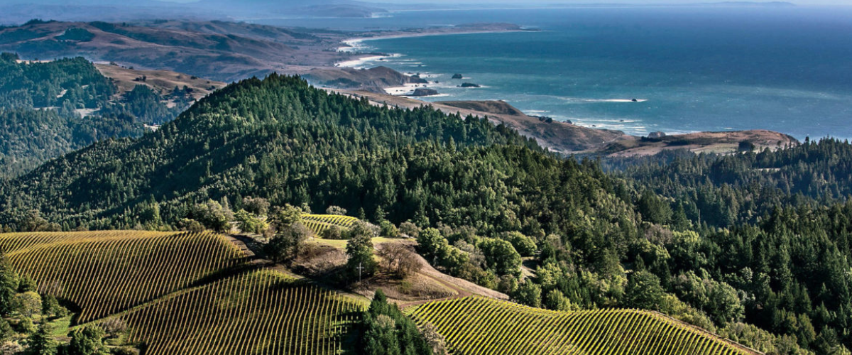 Sonoma, California