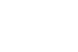 Alliander wit